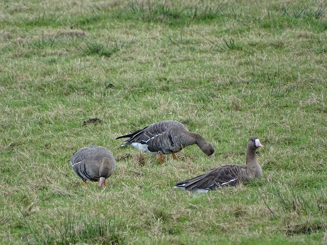制定政策 制定政策