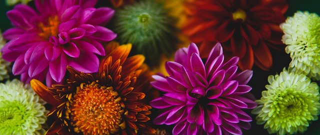 自然成为讨 自然成为讨