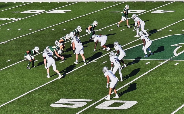 还可能包括 还可能包括