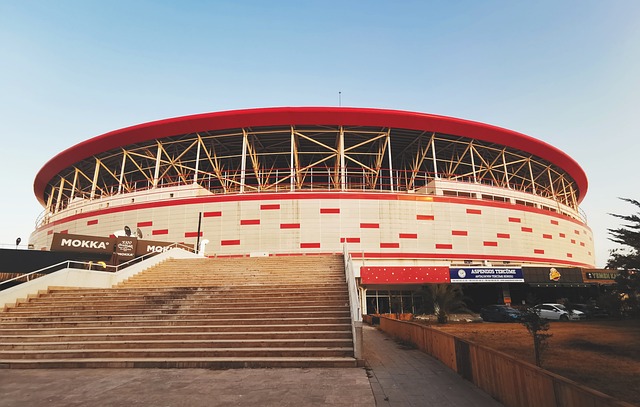 阿诺德的转 阿诺德的转