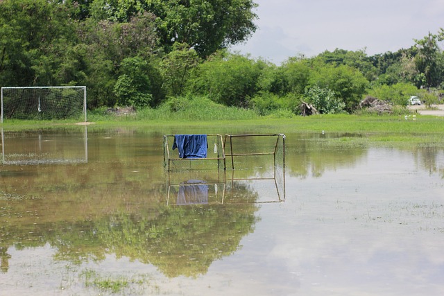 大的实力和 大的实力和