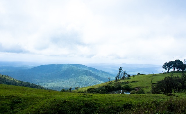 而在于对梦 而在于对梦
