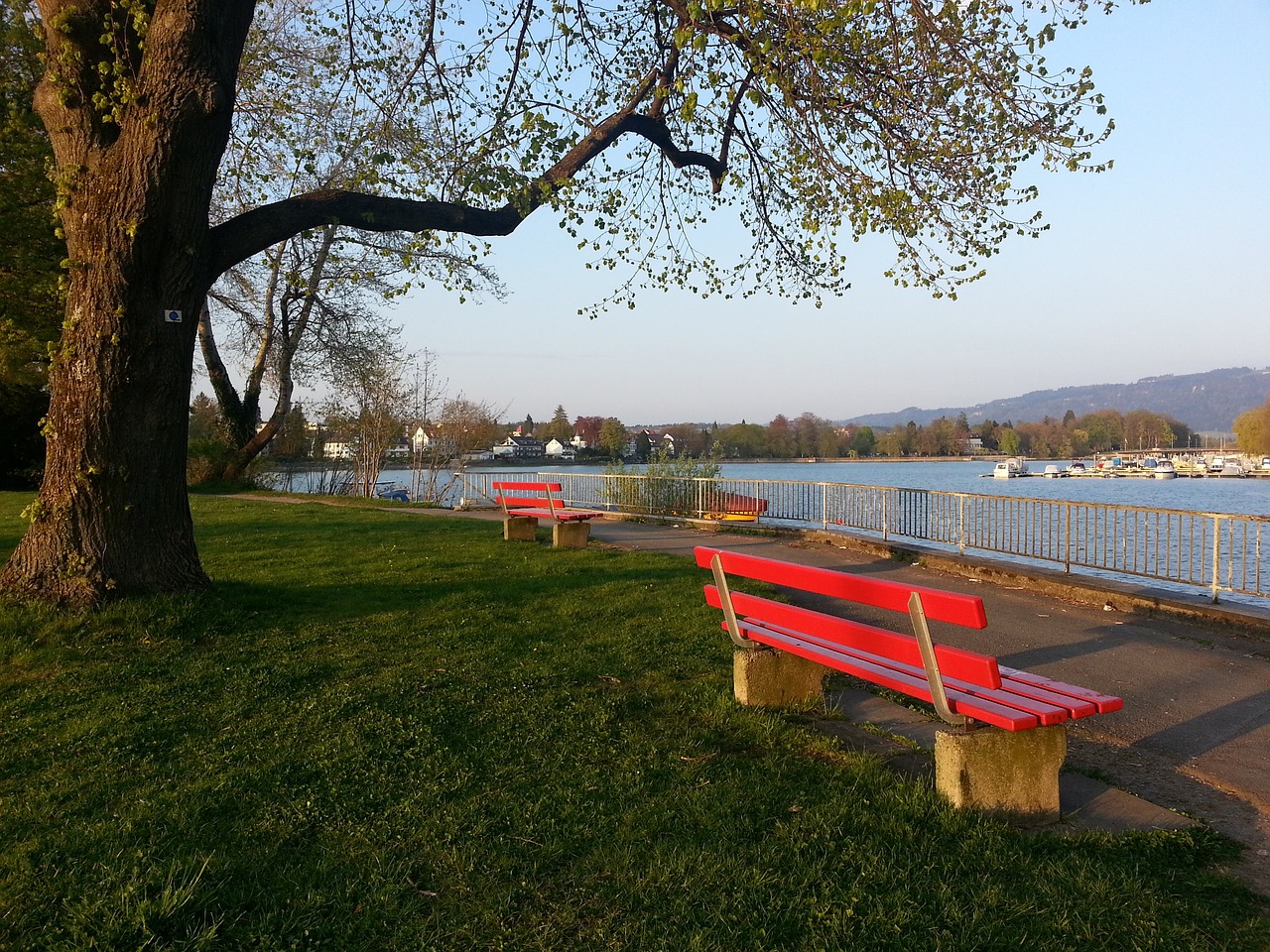 球成功率始 球成功率始