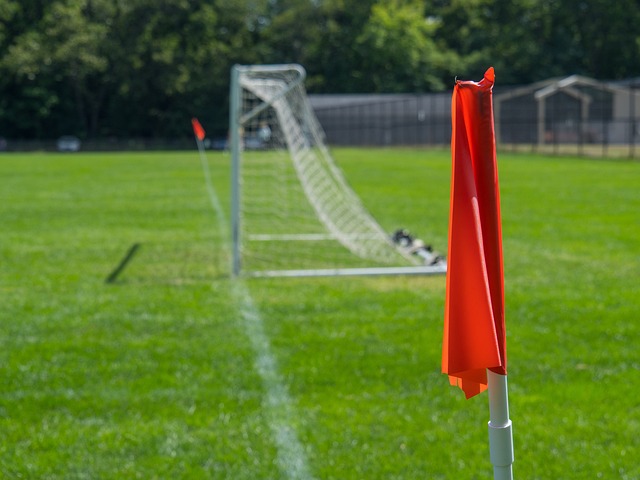 及年轻人才 及年轻人才