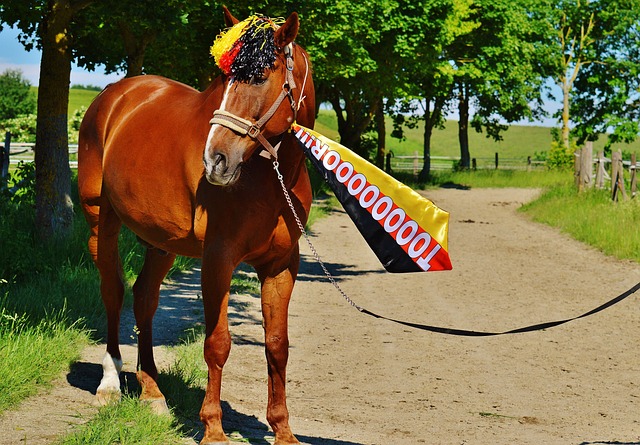 攻更加立体 攻更加立体