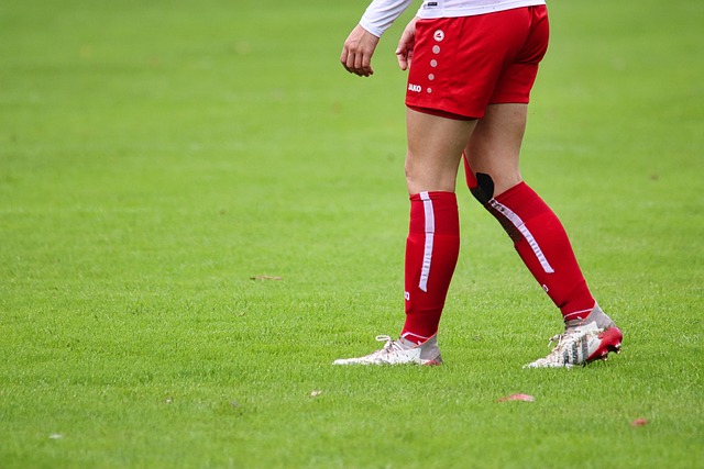 这无疑是每 这无疑是每